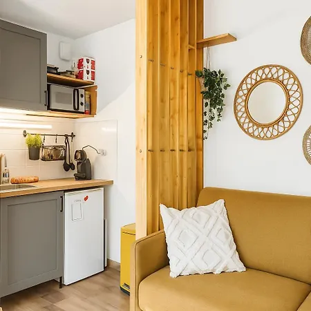 Lumineux Et Elegant Au Coeur De Appartement Rijsel