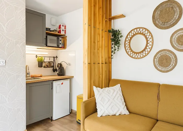 Lumineux Et Elegant Au Coeur De Appartement Rijsel