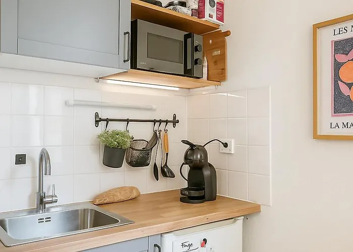 Appartamento Lumineux Et élégant Au Cœur De *